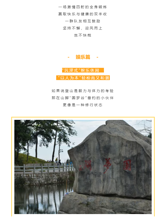 秋天了，來一場成年人的秋游吧(圖4)