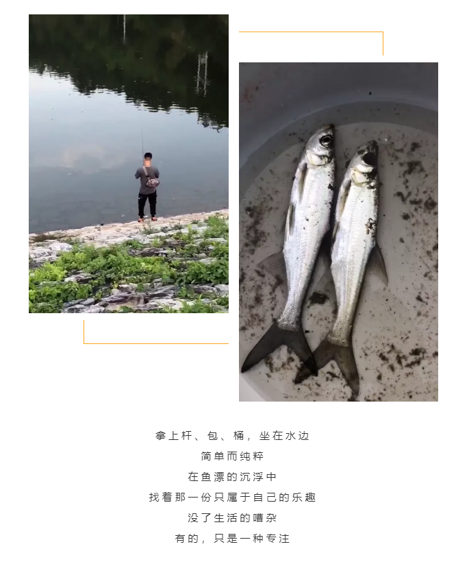 秋天了，來一場成年人的秋游吧(圖5)